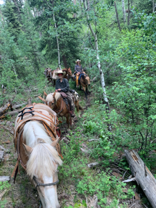 South CO Outfitting Business for sale (NO DEEDED PROPERTY) - image 44