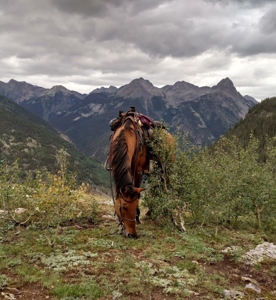 South CO Outfitting Business for sale (NO DEEDED PROPERTY) - image 11