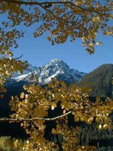 South CO Outfitting Business for sale (NO DEEDED PROPERTY) - image 15