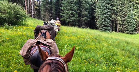 South CO Outfitting Business for sale (NO DEEDED PROPERTY) - image 1