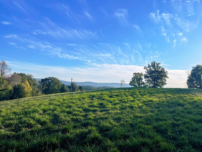 Land For Sale In Wythe County VA - image 40