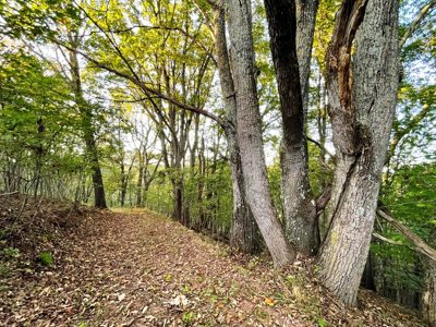 Land For Sale In Wythe County VA - image 30