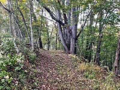 Land For Sale In Wythe County VA - image 28