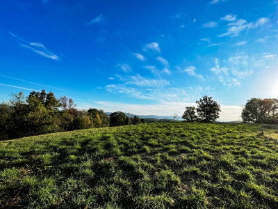 Land For Sale In Wythe County VA - image 9