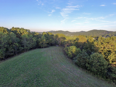 Land For Sale In Wythe County VA - image 48