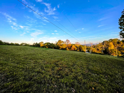 Land For Sale In Wythe County VA - image 11