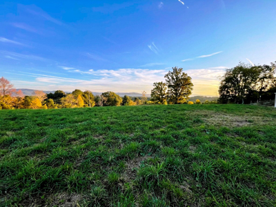 Land For Sale In Wythe County VA - image 10