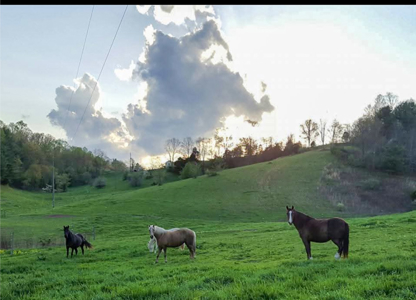 Land For Sale In Wythe County VA - image 33