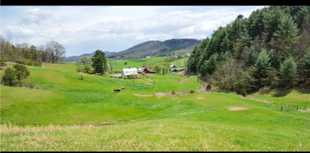 Land For Sale In Wythe County VA - image 32