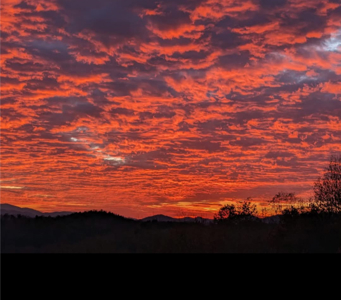 Land For Sale In Wythe County VA - image 43