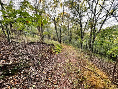 Land For Sale In Wythe County VA - image 29