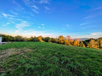 Land For Sale In Wythe County VA - image 12