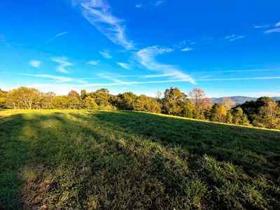 Land For Sale In Wythe County VA - image 2