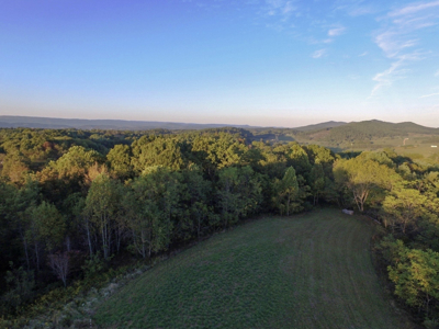 Land For Sale In Wythe County VA - image 47