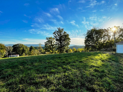 Land For Sale In Wythe County VA - image 8