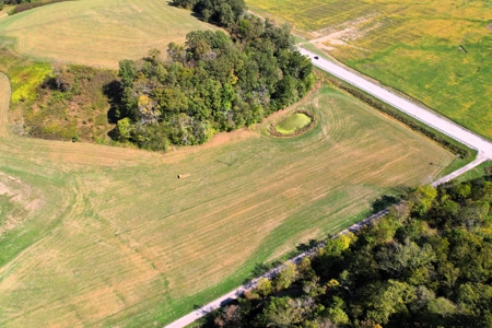 340+/- Acres W/ Us 127 Road Frontage-Pasture-Woodland-Liberty, Ky - image 7