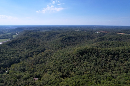 340+/- Acres W/ Us 127 Road Frontage-Pasture-Woodland-Liberty, Ky - image 11