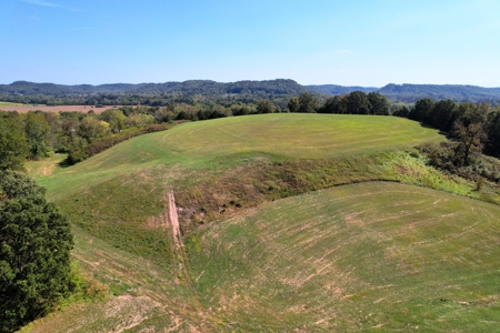 340+/- Acres W/ Us 127 Road Frontage-Pasture-Woodland-Liberty, Ky - image 16