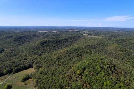 340+/- Acres W/ Us 127 Road Frontage-Pasture-Woodland-Liberty, Ky - image 10