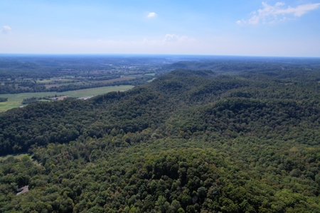 340+/- Acres W/ Us 127 Road Frontage-Pasture-Woodland-Liberty, Ky - image 13