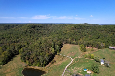 340+/- Acres W/ Us 127 Road Frontage-Pasture-Woodland-Liberty, Ky - image 2
