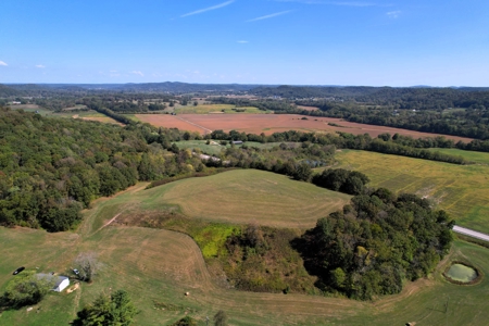 340+/- Acres W/ Us 127 Road Frontage-Pasture-Woodland-Liberty, Ky - image 6