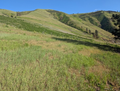 View Property for Sale in Juliaetta, Idaho - image 15