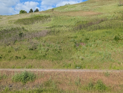 View Property for Sale in Juliaetta, Idaho - image 1