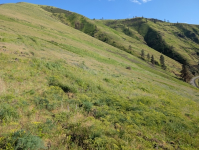 View Property for Sale in Juliaetta, Idaho - image 14