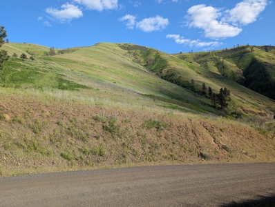 View Property for Sale in Juliaetta, Idaho - image 3