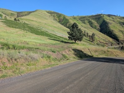 View Property for Sale in Juliaetta, Idaho - image 16