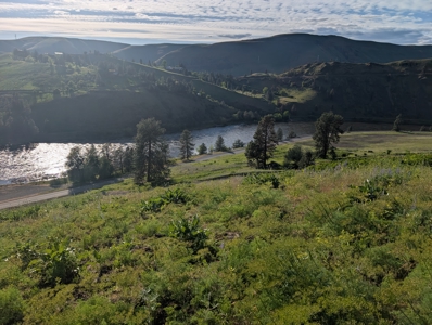 View Property for Sale in Juliaetta, Idaho - image 11