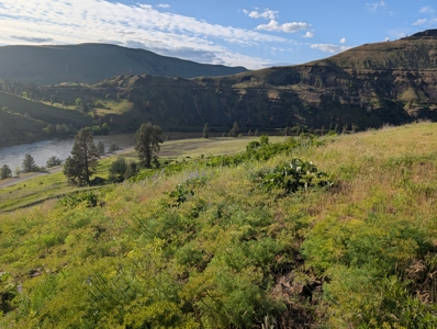 View Property for Sale in Juliaetta, Idaho - image 10