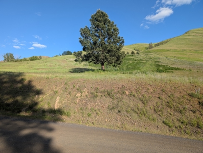 View Property for Sale in Juliaetta, Idaho - image 4