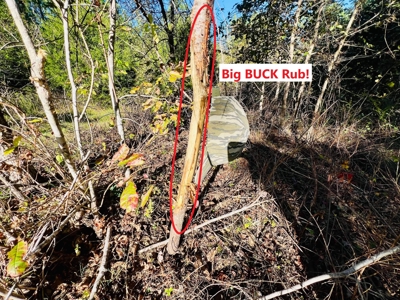 Perry County, TN Hunting & Recreation Land For Sale - image 2