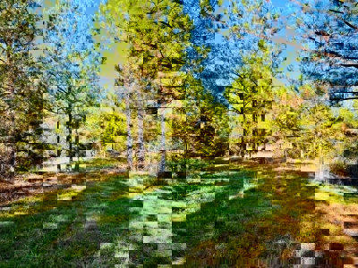 Perry County, TN Hunting & Recreation Land For Sale - image 13