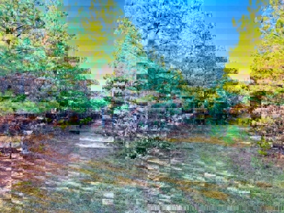 Perry County, TN Hunting & Recreation Land For Sale - image 21