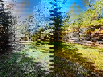 Perry County, TN Hunting & Recreation Land For Sale - image 38