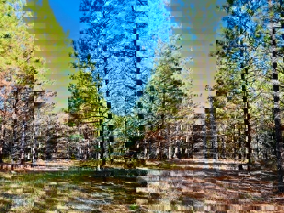 Perry County, TN Hunting & Recreation Land For Sale - image 32