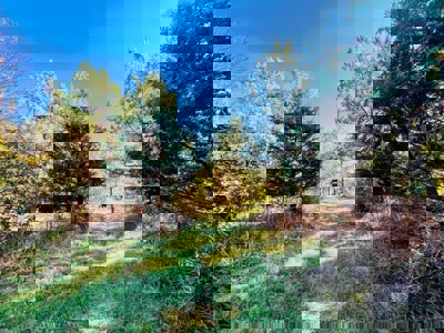 Perry County, TN Hunting & Recreation Land For Sale - image 28