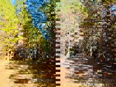 Perry County, TN Hunting & Recreation Land For Sale - image 25