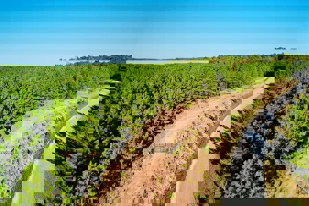 Perry County, TN Hunting & Recreation Land For Sale - image 26