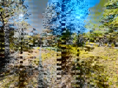 Perry County, TN Hunting & Recreation Land For Sale - image 35