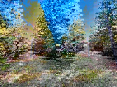 Perry County, TN Hunting & Recreation Land For Sale - image 9