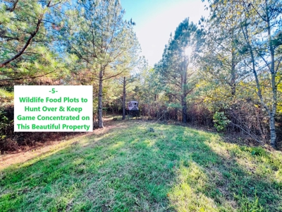 Perry County, TN Hunting & Recreation Land For Sale - image 6