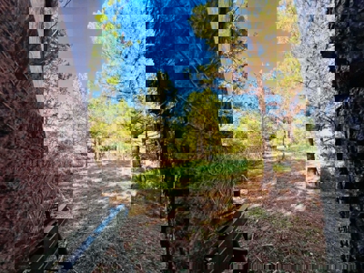 Perry County, TN Hunting & Recreation Land For Sale - image 8