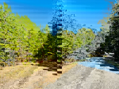 Perry County, TN Hunting & Recreation Land For Sale - image 10