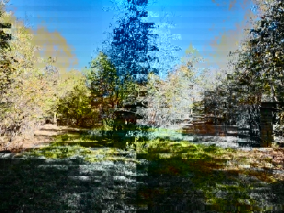 Perry County, TN Hunting & Recreation Land For Sale - image 22