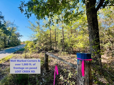 Perry County, TN Hunting & Recreation Land For Sale - image 3