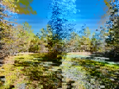 Perry County, TN Hunting & Recreation Land For Sale - image 36